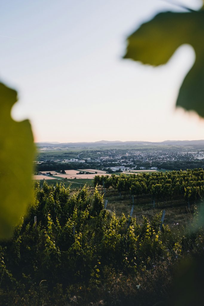 Home | thomas peham BdvOHQcoUp0 unsplash thomas peham BdvOHQcoUp0 unsplash