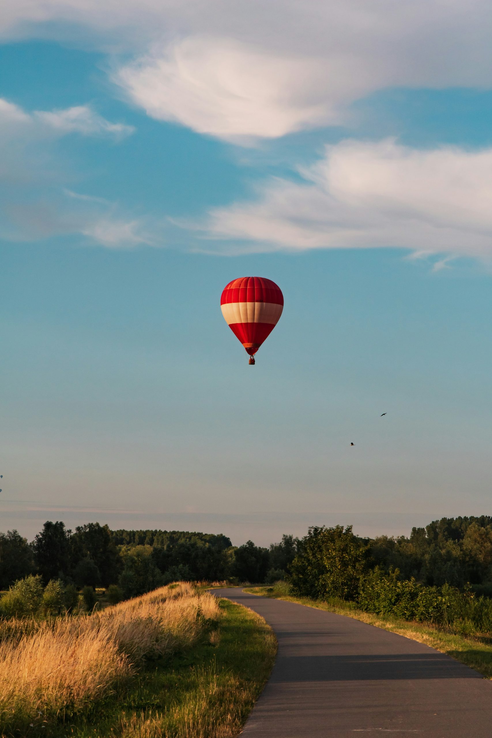 jorick-roels-rZ5Uh4MDMn4-unsplash